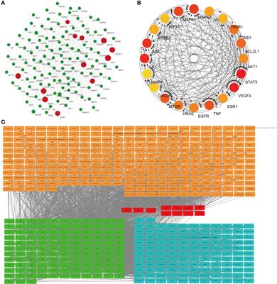 Feiyanning Formula Induces Apoptosis of Lung Adenocarcinoma Cells by Activating the Mitochondrial Pathway